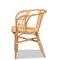 Baxton Studio Luxio Modern and Contemporary Natural Finished Rattan Chair 185-11870-Zoro - alternate 4